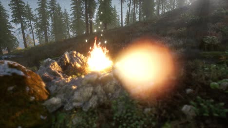 Campfire-at-Mountain